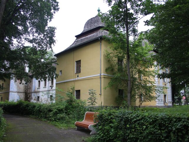 Палац Перені, Виноградів