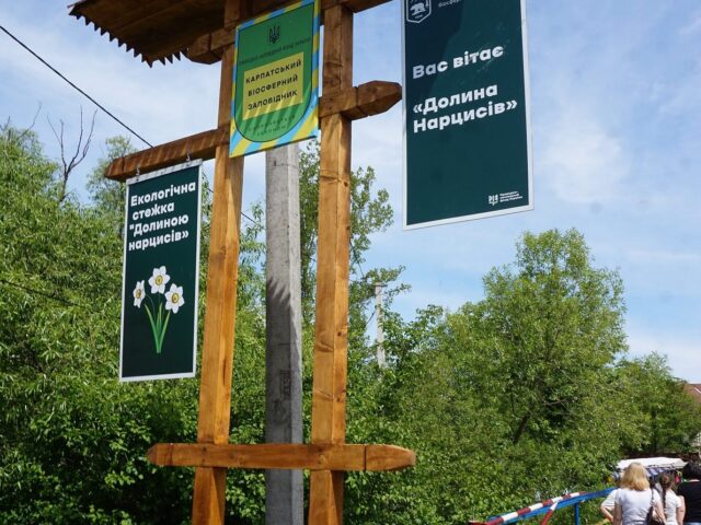 Долина Нарцисів — фото 5