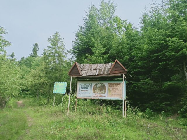 Костёл в Делятині — фото 5