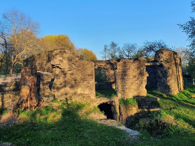 Замок (руїни), Надвірна