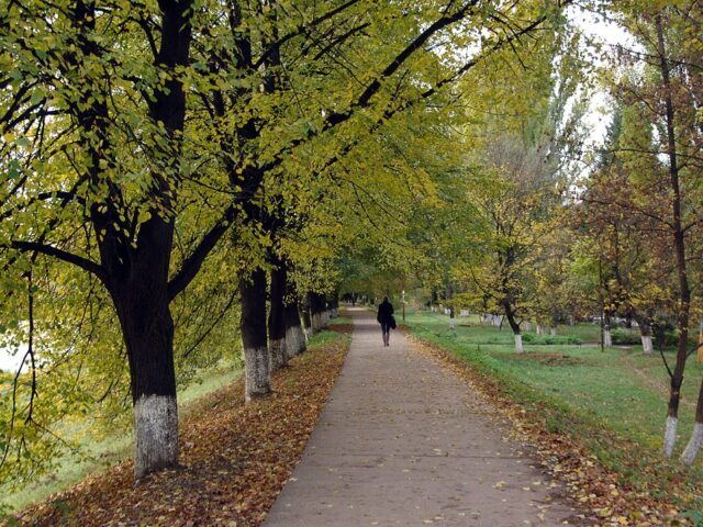 Липова алея в Ужгороді — фото 6