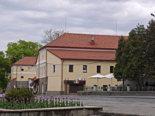 Sovyne Hnizdo v Uzhhorodi