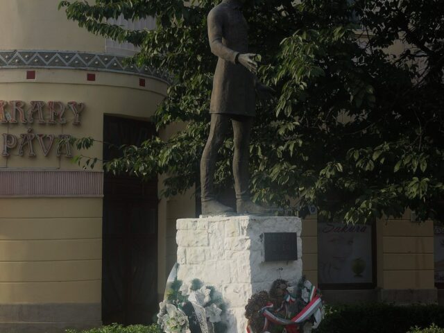 Казино Берег (Золотий павич), Берегово