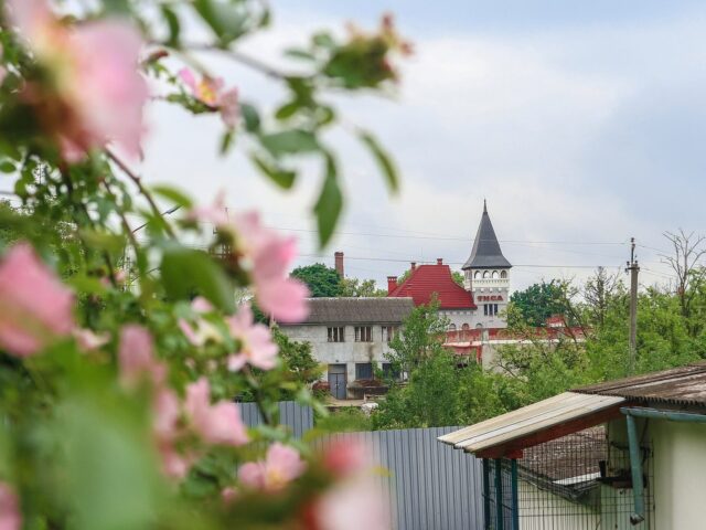 Дворец графів Шенборнів, Берегово — фото 6