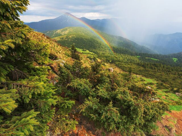 Mount Petros Chornohirskyi
