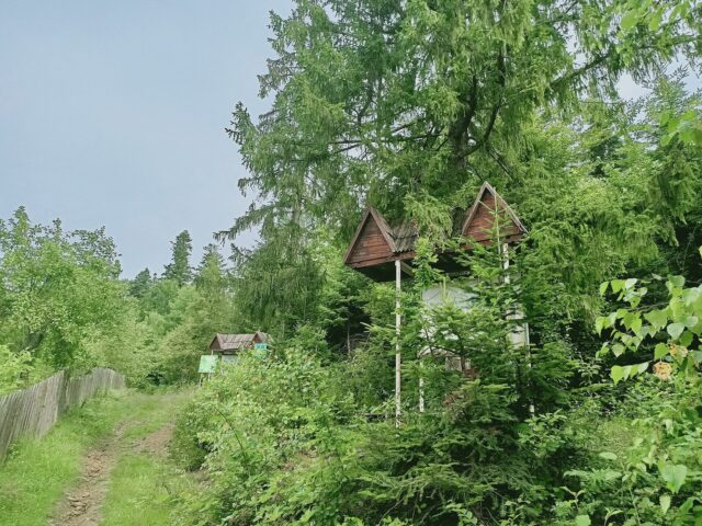 Костёл в Делятині — фото 6