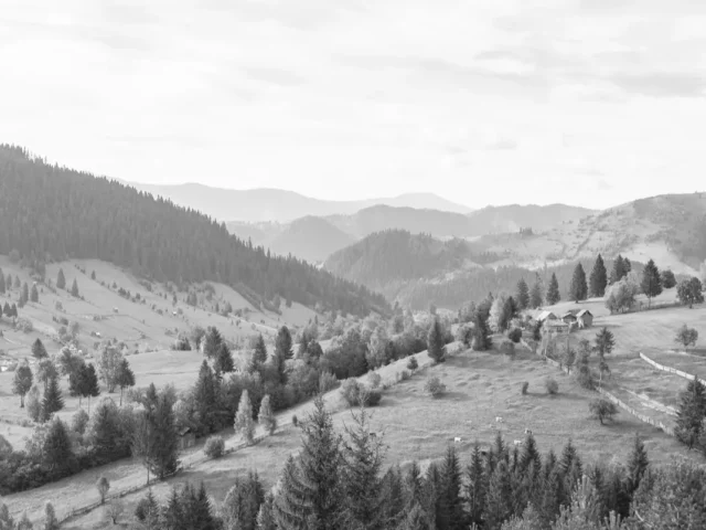 Resort complex “Panorama Skhidnytsia”